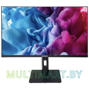 Монитор Irbis SmartView 24FIDR